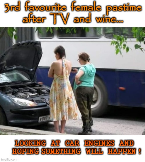 Female Pastimes | 3rd  favourite  female  pastime
after  TV  and  wine... LOOKING  AT  CAR  ENGINES  AND
  HOPING SOMETHING  WILL  HAPPEN ! | image tagged in in the hood | made w/ Imgflip meme maker