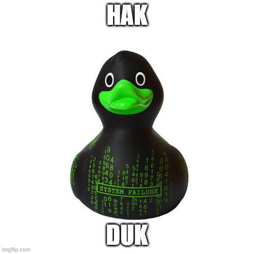 hacking duck | HAK; DUK | image tagged in duck | made w/ Imgflip meme maker