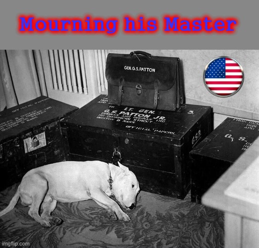 Ole Faithful | Mourning his Master | image tagged in patton | made w/ Imgflip meme maker
