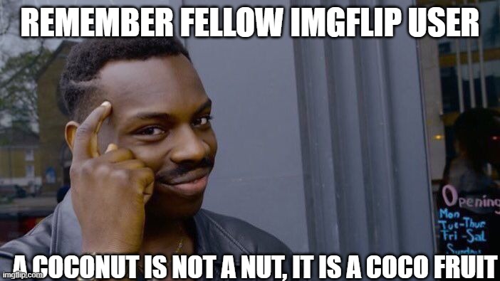 Remember it |  REMEMBER FELLOW IMGFLIP USER; A COCONUT IS NOT A NUT, IT IS A COCO FRUIT | image tagged in memes,roll safe think about it,coconut,nuts | made w/ Imgflip meme maker