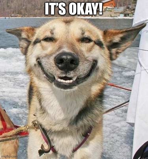 Happy Dog | IT’S OKAY! | image tagged in happy dog | made w/ Imgflip meme maker