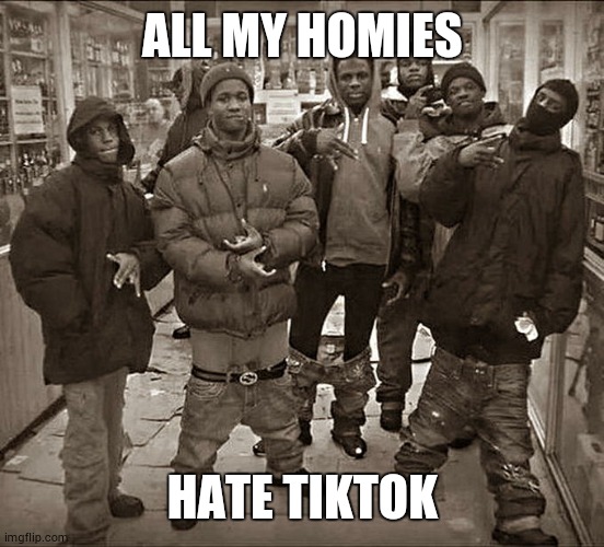 where my homies are | ALL MY HOMIES; HATE TIKTOK | image tagged in all my homies hate | made w/ Imgflip meme maker