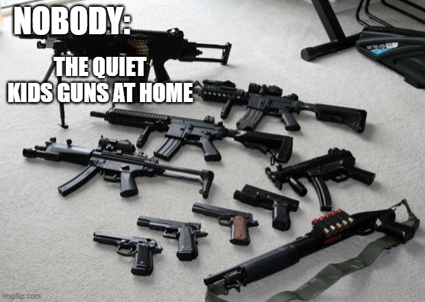 hi | NOBODY:; THE QUIET KIDS GUNS AT HOME | image tagged in guns | made w/ Imgflip meme maker