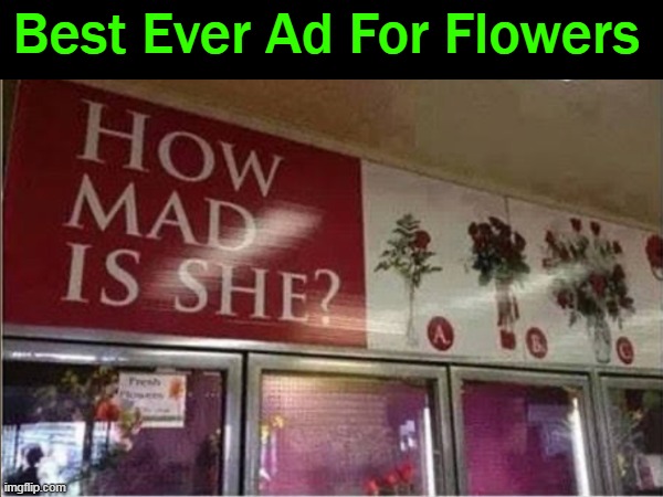 I'll take a "C" bouquet, please... | Best Ever Ad For Flowers | image tagged in fun,flowers,advertisement,lol,women,she mad bro | made w/ Imgflip meme maker