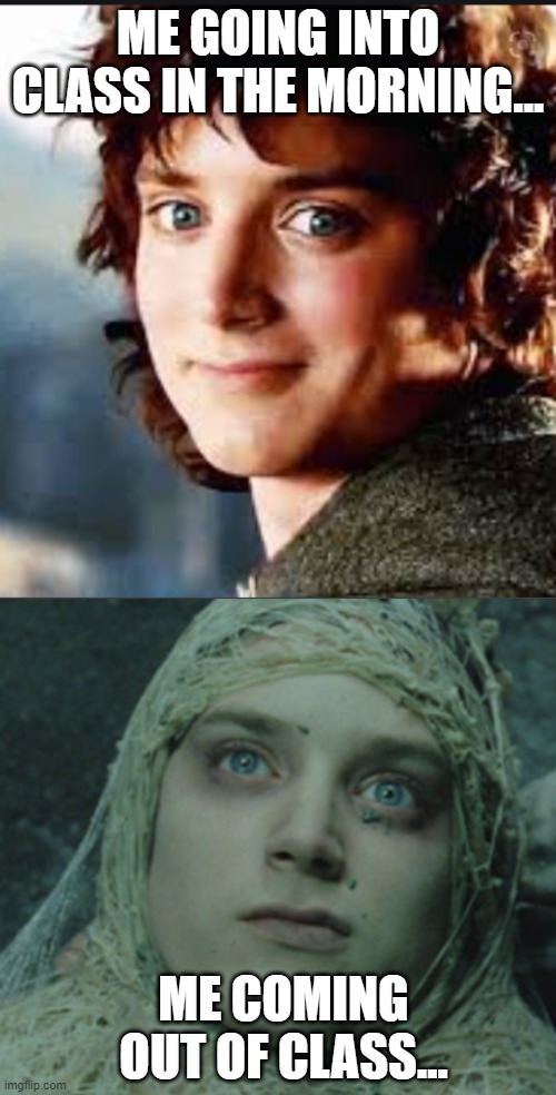  ME GOING INTO CLASS IN THE MORNING... ME COMING OUT OF CLASS... | image tagged in lord of the rings,frodo,online classes | made w/ Imgflip meme maker