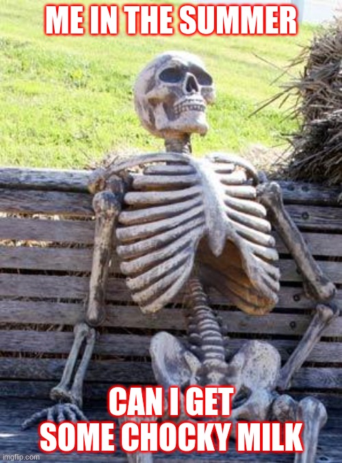 Waiting Skeleton | ME IN THE SUMMER; CAN I GET SOME CHOCKY MILK | image tagged in memes,waiting skeleton | made w/ Imgflip meme maker