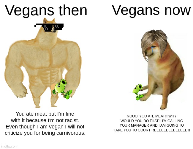 remember those days... | Vegans then; Vegans now; You ate meat but I'm fine with it because I'm not racist. Even though I am vegan I will not criticize you for being carnivorous. NOOO! YOU ATE MEAT!!! WHY WOULD YOU DO THAT!!! I'M CALLING YOUR MANAGER AND I AM GOING TO TAKE YOU TO COURT REEEEEEEEEEEEEE!!! | image tagged in memes,buff doge vs cheems,no boomer humor | made w/ Imgflip meme maker