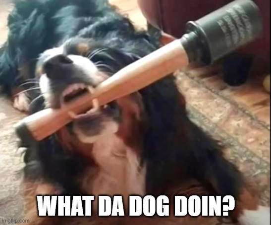 WHAT DA DOG DOIN? | image tagged in dog with tank grenade | made w/ Imgflip meme maker