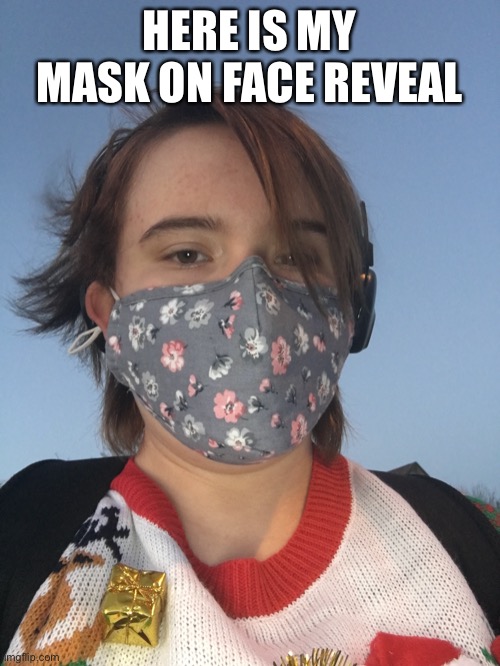 HERE IS MY MASK ON FACE REVEAL | made w/ Imgflip meme maker
