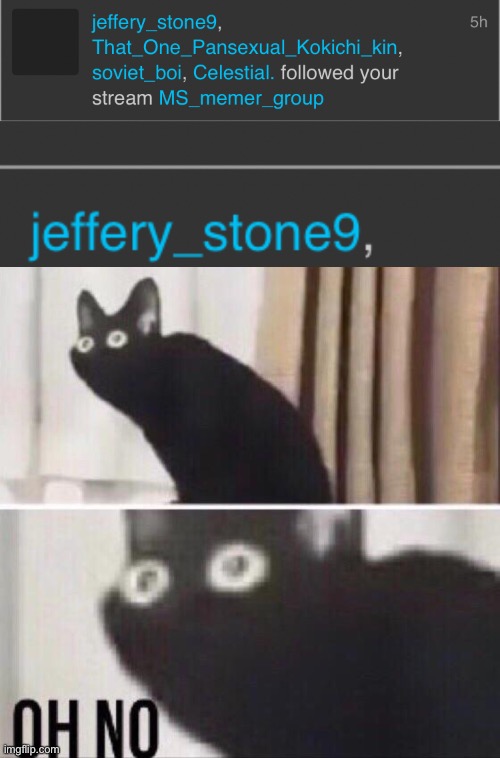 This is horrible news | image tagged in oh no cat | made w/ Imgflip meme maker