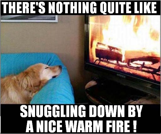 Now The Nights Are Drawing In ... | THERE'S NOTHING QUITE LIKE; SNUGGLING DOWN BY
A NICE WARM FIRE ! | image tagged in dogs,cold weather,fire | made w/ Imgflip meme maker