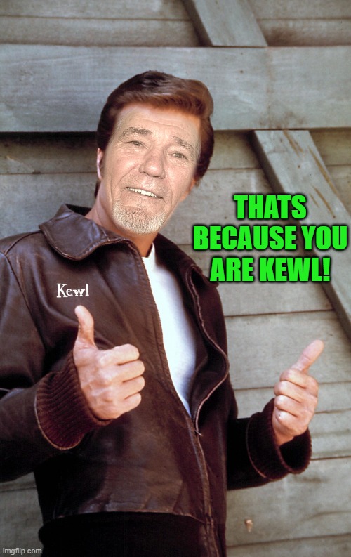 Johnny Kewl | THATS BECAUSE YOU ARE KEWL! | image tagged in johnny kewl | made w/ Imgflip meme maker