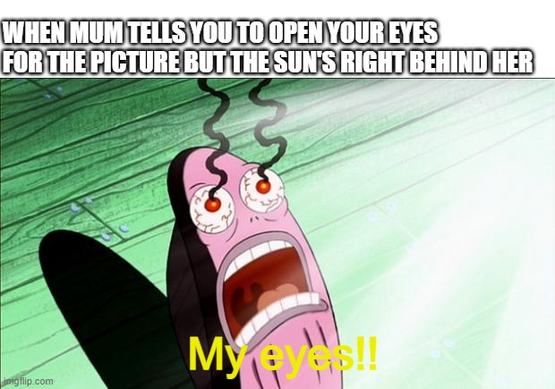 Spongebob My Eyes |  WHEN MUM TELLS YOU TO OPEN YOUR EYES FOR THE PICTURE BUT THE SUN'S RIGHT BEHIND HER; My eyes!! | image tagged in spongebob my eyes | made w/ Imgflip meme maker