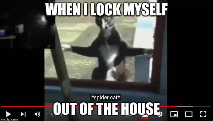 it happens alot | WHEN I LOCK MYSELF; OUT OF THE HOUSE | image tagged in creepy cat at window | made w/ Imgflip meme maker
