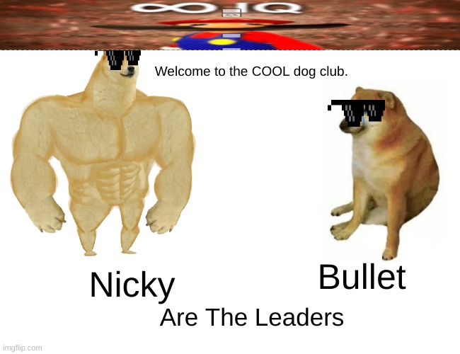 COOL INFITNITE DOG CLUBB >:D - Imgflip