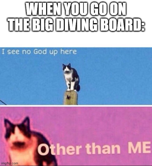 be brave lad | WHEN YOU GO ON THE BIG DIVING BOARD: | image tagged in i see no god up here | made w/ Imgflip meme maker