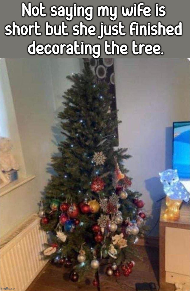 Not saying my wife is 
short but she just finished 
decorating the tree. | image tagged in christmas tree | made w/ Imgflip meme maker