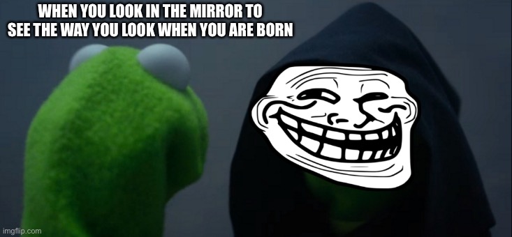 Evil Kermit | WHEN YOU LOOK IN THE MIRROR TO SEE THE WAY YOU LOOK WHEN YOU ARE BORN | image tagged in memes,evil kermit | made w/ Imgflip meme maker