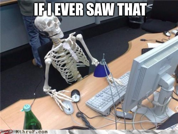 Skeleton Computer | IF I EVER SAW THAT | image tagged in skeleton computer | made w/ Imgflip meme maker