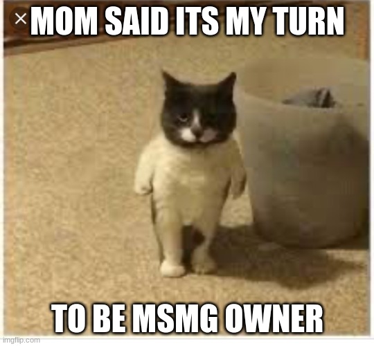 Mom said it’s my turn | MOM SAID ITS MY TURN TO BE MSMG OWNER | image tagged in mom said it s my turn | made w/ Imgflip meme maker