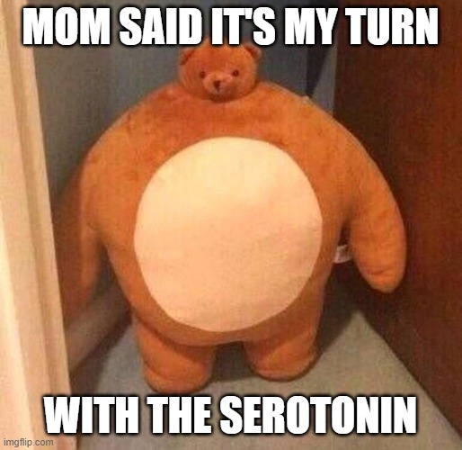 mom said it's my turn on the xbox | MOM SAID IT'S MY TURN WITH THE SEROTONIN | image tagged in mom said it's my turn on the xbox | made w/ Imgflip meme maker