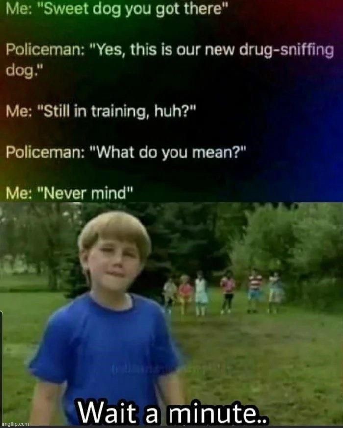 Lmao, he has the drugs | image tagged in memes,funny,dark humor,lmao | made w/ Imgflip meme maker