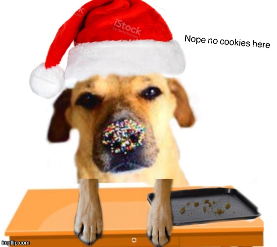 Santa woofer | image tagged in funny,memes,funny memes,doge | made w/ Imgflip meme maker