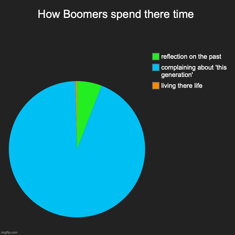 Boomers time | How Boomers spend there time | living there life , complaining about 'this generation', reflection on the past | image tagged in charts,pie charts | made w/ Imgflip chart maker