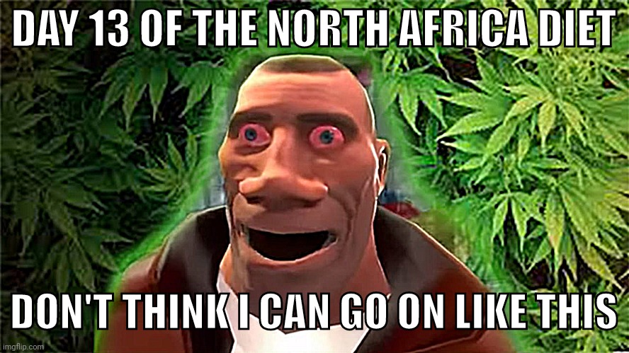 Soldier high | DAY 13 OF THE NORTH AFRICA DIET; DON'T THINK I CAN GO ON LIKE THIS | image tagged in soldier high | made w/ Imgflip meme maker