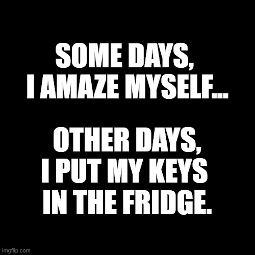 some days | SOME DAYS, 
I AMAZE MYSELF... OTHER DAYS, I PUT MY KEYS 
IN THE FRIDGE. | image tagged in black square | made w/ Imgflip meme maker