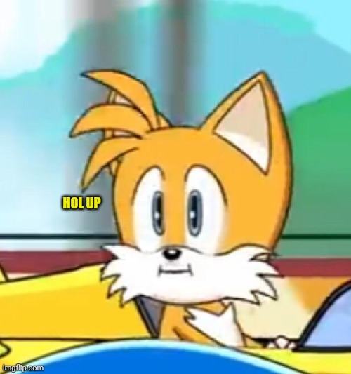 Hold up | HOL UP | image tagged in tails hold up | made w/ Imgflip meme maker