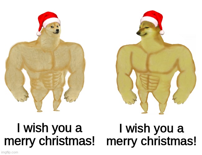 Buff doge vs buff cheems | I wish you a merry christmas! I wish you a merry christmas! | image tagged in buff doge vs buff cheems | made w/ Imgflip meme maker
