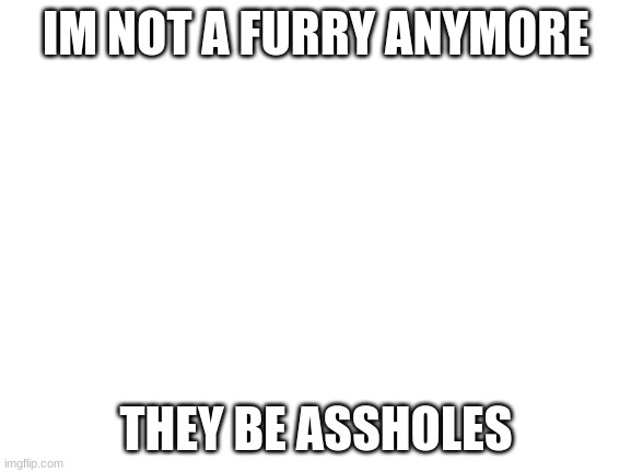 Blank White Template | IM NOT A FURRY ANYMORE; THEY BE ASSHOLES | image tagged in blank white template | made w/ Imgflip meme maker