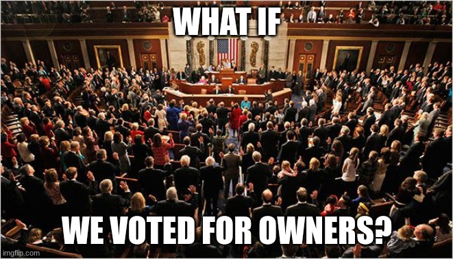 this probably isnt the best idea tbh | WHAT IF; WE VOTED FOR OWNERS? | image tagged in congress | made w/ Imgflip meme maker