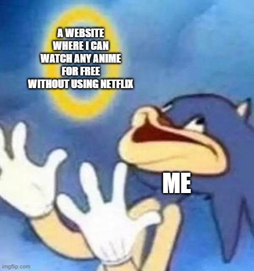 I is has access to the animes, I is happy now! I is free! |  A WEBSITE WHERE I CAN WATCH ANY ANIME FOR FREE WITHOUT USING NETFLIX; ME | image tagged in sonic | made w/ Imgflip meme maker