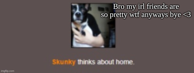 time for a nappy nap | Bro my irl friends are so pretty wtf anyways bye <3 | image tagged in skunky thinks about home | made w/ Imgflip meme maker