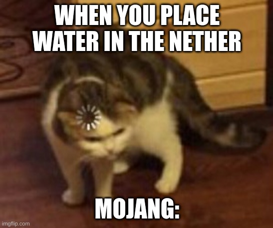 Loading cat |  WHEN YOU PLACE WATER IN THE NETHER; MOJANG: | image tagged in loading cat | made w/ Imgflip meme maker