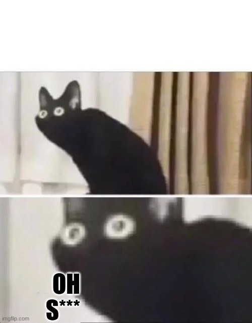 Oh No Black Cat | OH S*** | image tagged in oh no black cat | made w/ Imgflip meme maker