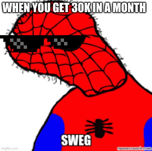 Ultimate Sweg | WHEN YOU GET 30K IN A MONTH | image tagged in memes | made w/ Imgflip meme maker