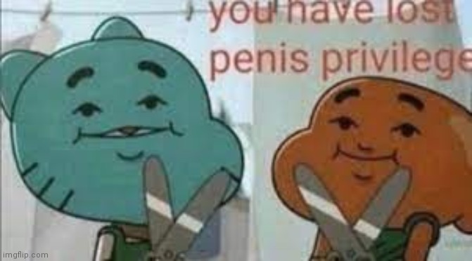 you have lost pp privleges | image tagged in you have lost pp privleges | made w/ Imgflip meme maker
