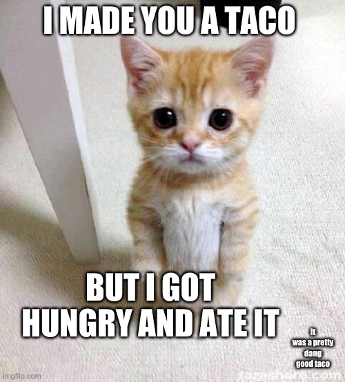 Oops :) | I MADE YOU A TACO; BUT I GOT HUNGRY AND ATE IT; It was a pretty dang good taco | image tagged in memes,cute cat,tacos | made w/ Imgflip meme maker