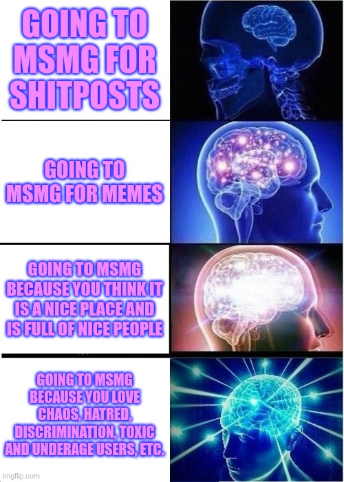 Smort | GOING TO MSMG FOR SHITPOSTS; GOING TO MSMG FOR MEMES; GOING TO MSMG BECAUSE YOU THINK IT IS A NICE PLACE AND IS FULL OF NICE PEOPLE; GOING TO MSMG BECAUSE YOU LOVE CHAOS, HATRED, DISCRIMINATION, TOXIC AND UNDERAGE USERS, ETC. | image tagged in memes,expanding brain | made w/ Imgflip meme maker