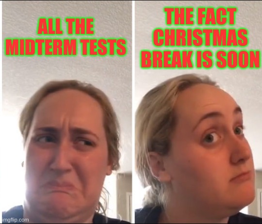 Is the reward worth the effort? | THE FACT CHRISTMAS BREAK IS SOON; ALL THE MIDTERM TESTS | image tagged in kombucha girl,christmas memes,school | made w/ Imgflip meme maker