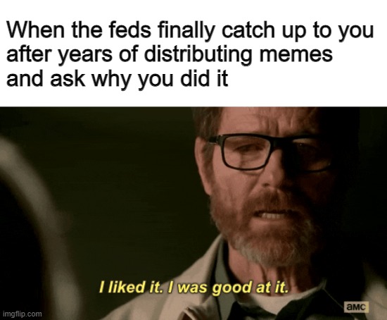 The Feds Catch Up to You | When the feds finally catch up to you
after years of distributing memes
and ask why you did it | image tagged in i liked it i was good at it,feds,memes | made w/ Imgflip meme maker