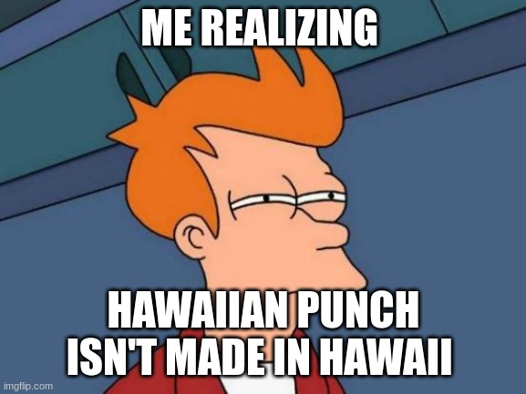Futurama Fry | ME REALIZING; HAWAIIAN PUNCH ISN'T MADE IN HAWAII | image tagged in memes,futurama fry | made w/ Imgflip meme maker
