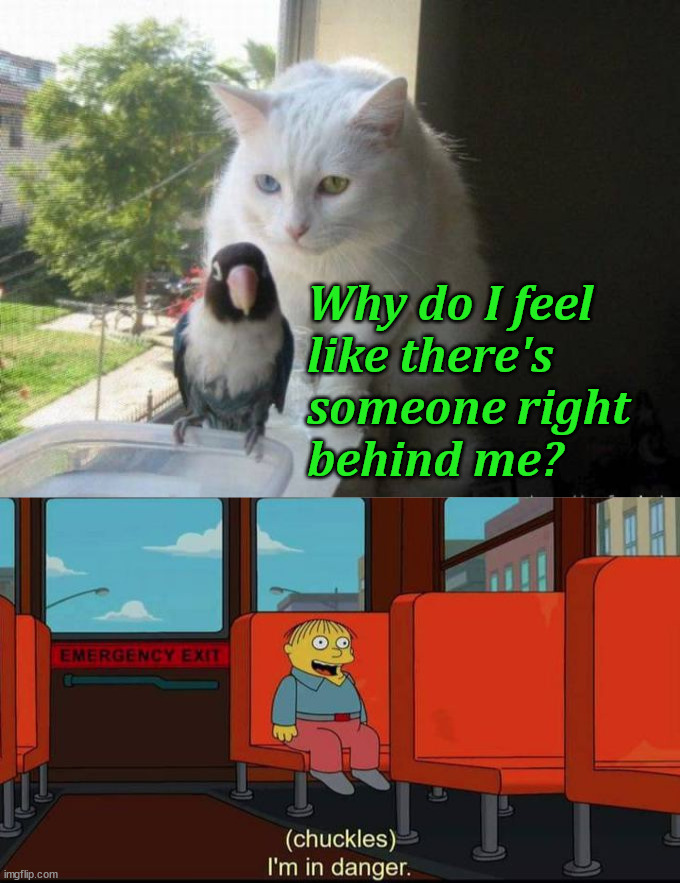Why do I feel 
like there's 
someone right 
behind me? | image tagged in im in danger | made w/ Imgflip meme maker
