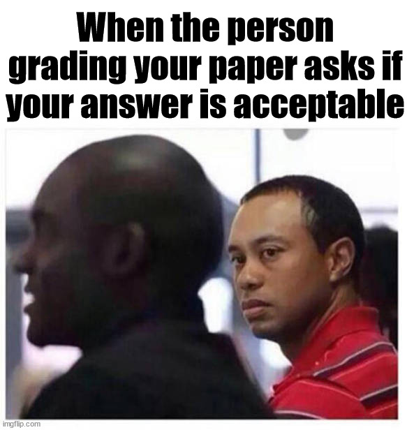 When the person grading your paper asks if your answer is acceptable | made w/ Imgflip meme maker