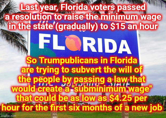 F. L. O. R. I. D. A.   L. O. L. | Last year, Florida voters passed a resolution to raise the minimum wage in the state (gradually) to $15 an hour; So Trumpublicans in Florida are trying to subvert the will of the people by passing a law that would create a "subminimum wage" that could be as low as $4.25 per hour for the first six months of a new job | image tagged in florida,memes,meanwhile in florida,dumbasses,pay attention,minimum wage | made w/ Imgflip meme maker