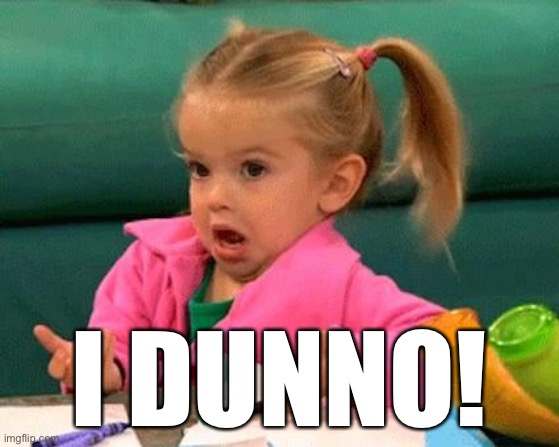 I don't know (Good Luck Charlie) | I DUNNO! | image tagged in i don't know good luck charlie | made w/ Imgflip meme maker