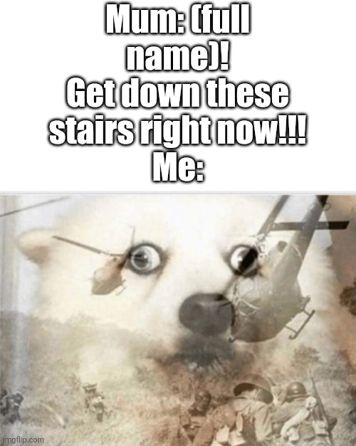 PTSD dog | Mum: (full name)! Get down these stairs right now!!!
Me: | image tagged in ptsd dog | made w/ Imgflip meme maker